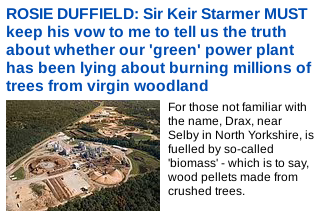 Screenshot 2025-01-30 at 23-20-43 UK Home Daily Mail Online.png