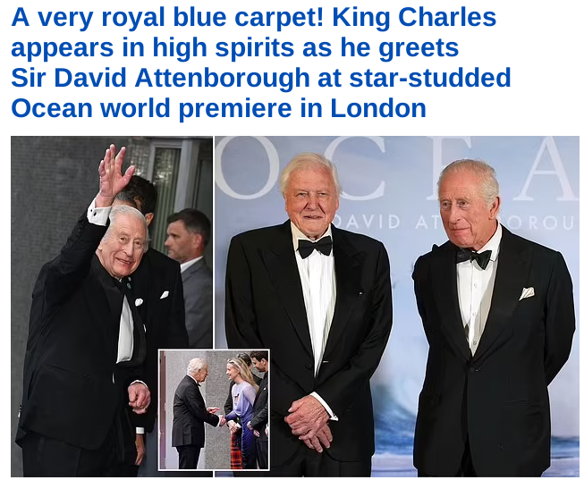 Screenshot 2025-05-06 at 23-12-32 UK Home Daily Mail Online.png
