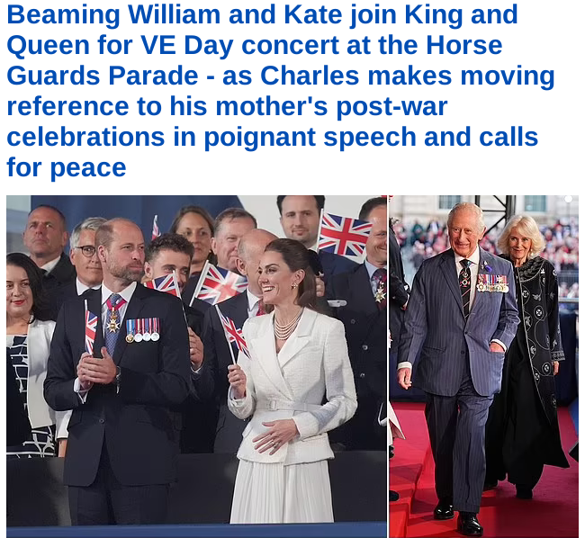 Screenshot 2025-05-08 at 23-41-53 UK Home Daily Mail Online.png